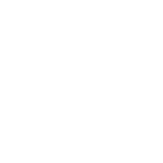 ICON BẢO DƯỠNG
